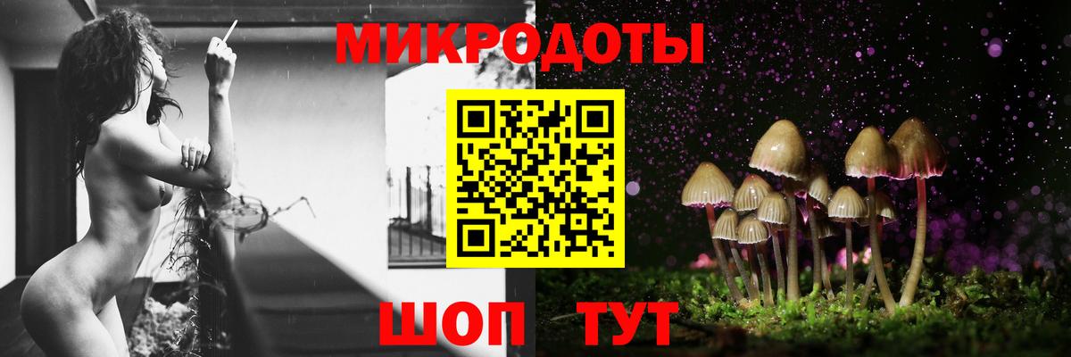 Галлюциногенные грибы Psilocybe Ишим